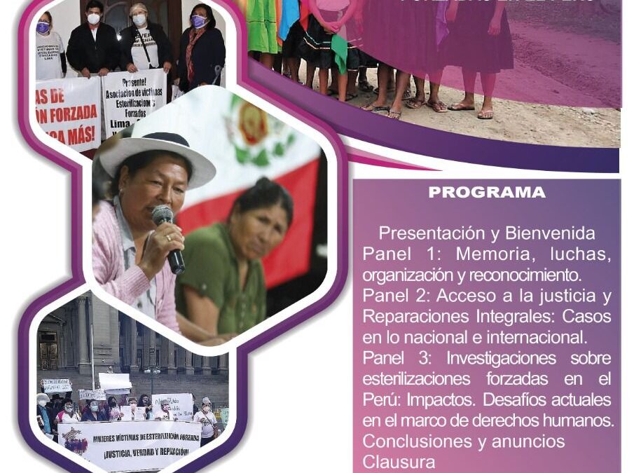 Seminario Internacional «Memoria Y Derechos Humanos a 25 Años de las Esterilizaciones Forzadas en el Perú»